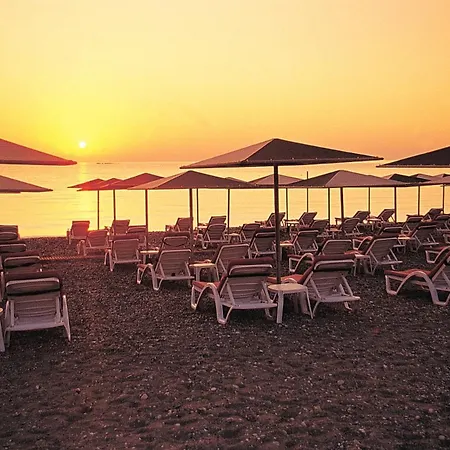 Rox Resort